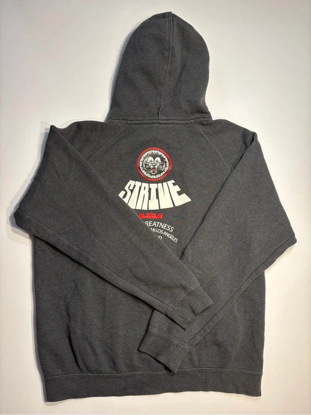 Nike Hoodie Mens S Gray Lebron James Strive Sweater Loose Relaxed Fit